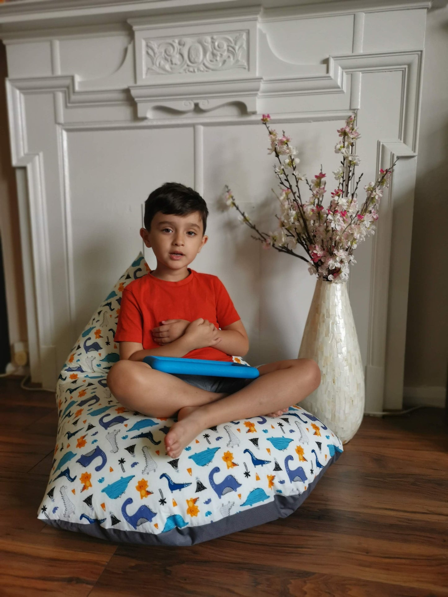 Dinosaurs Beanbag