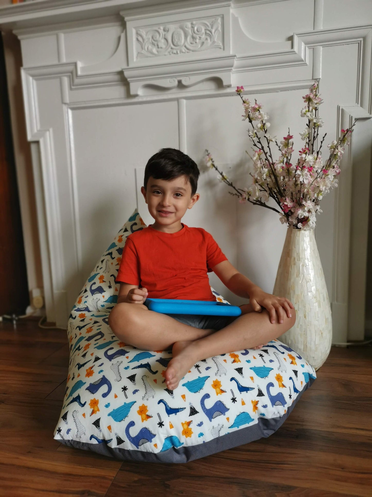 Dinosaurs Beanbag